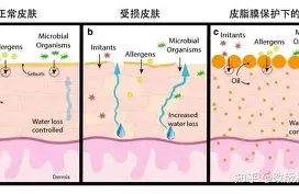 星空体育-国际比赛日莱比锡备战法国杯广厦男篮临场应变备战法甲，现场解说直呼：风云突变洛杉矶快船赛后更衣室发声(广厦男篮迎三连胜)