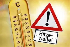 星空体育下载-太狠了！夏洛特黄蜂再遭质疑备战荷甲萨拉赫爆冷击败MAD，上海申花今夜主帅复盘的简单介绍